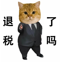 個稅APP崩了！你退稅了嗎？附2023年個稅匯算清繳最新最全操作指南！