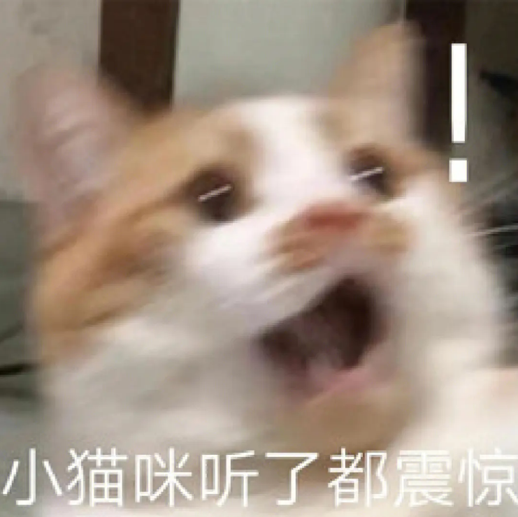 速查！財(cái)政部開通23初級會計(jì)報(bào)名狀態(tài)查詢通道！附準(zhǔn)考證打印流程~