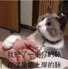 考公先拿考研當(dāng)跳板，試試考研選這些專業(yè)“真香”！
