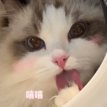 積分商城上新！加濕器、電動牙刷、歡樂谷門票等……眾多好物快來兌換！